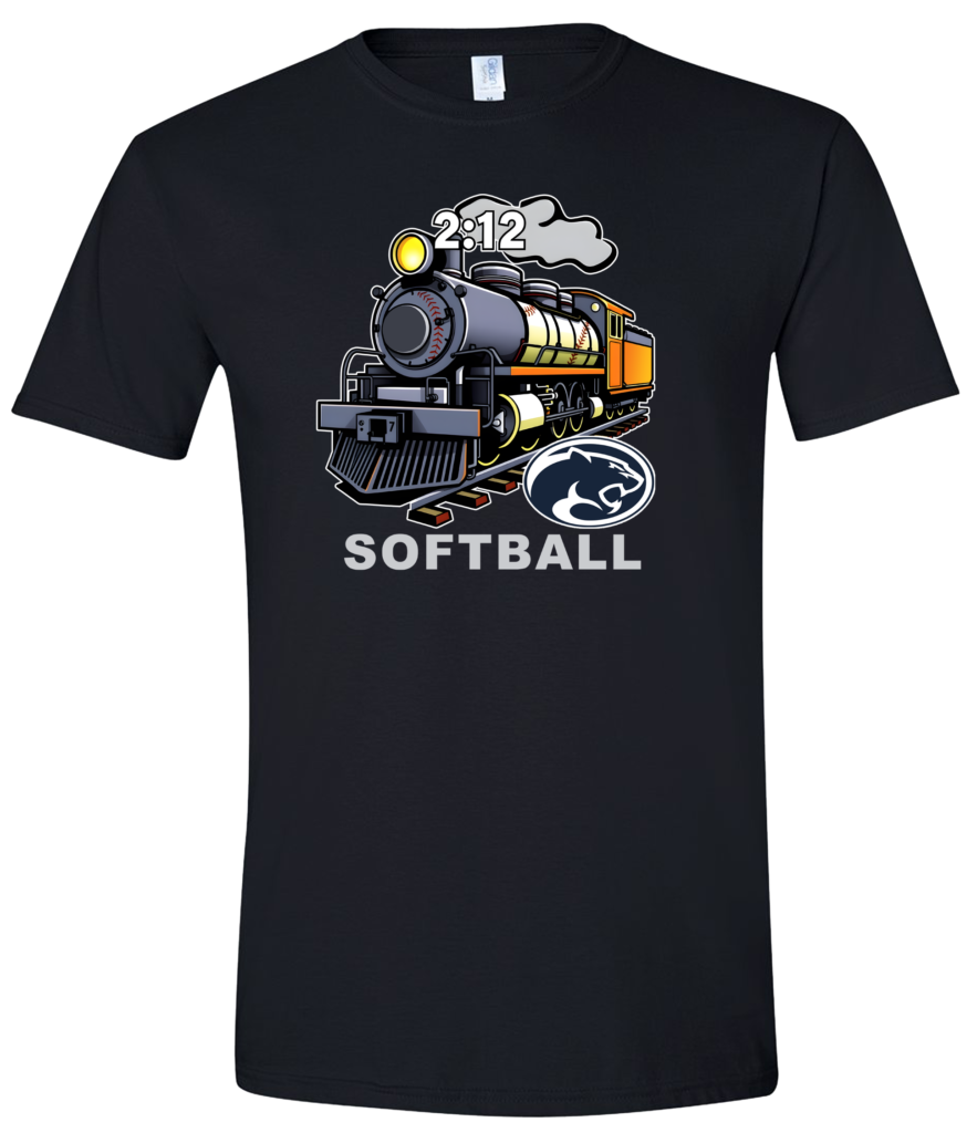 Sports Team Printed T Shirts in Bulk for Less