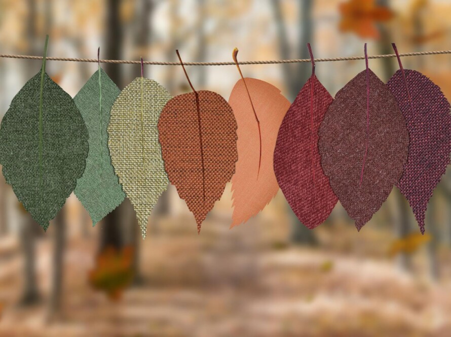 leaves hang on rope